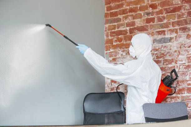 Best Crawl Space Mold Remediation  in Lafayette, CA