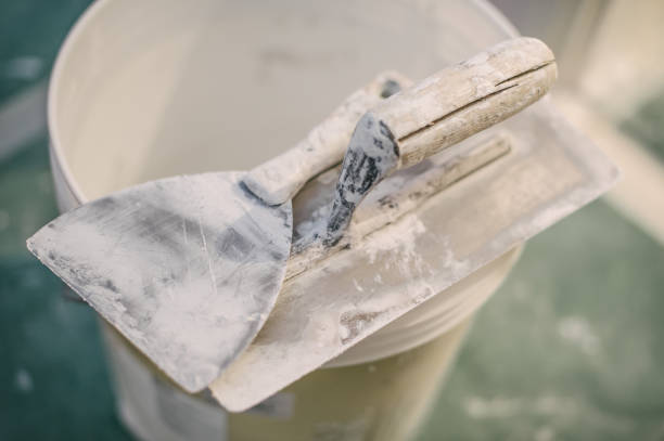 Professional Mold Removal in Lafayette, CA